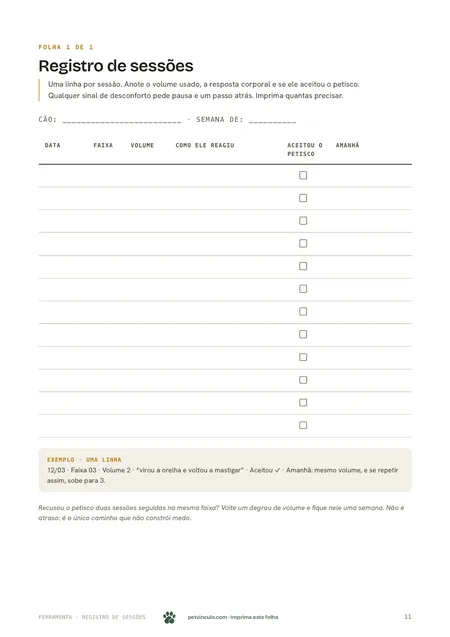 Folha real de registro de sessões, pronta para imprimir.