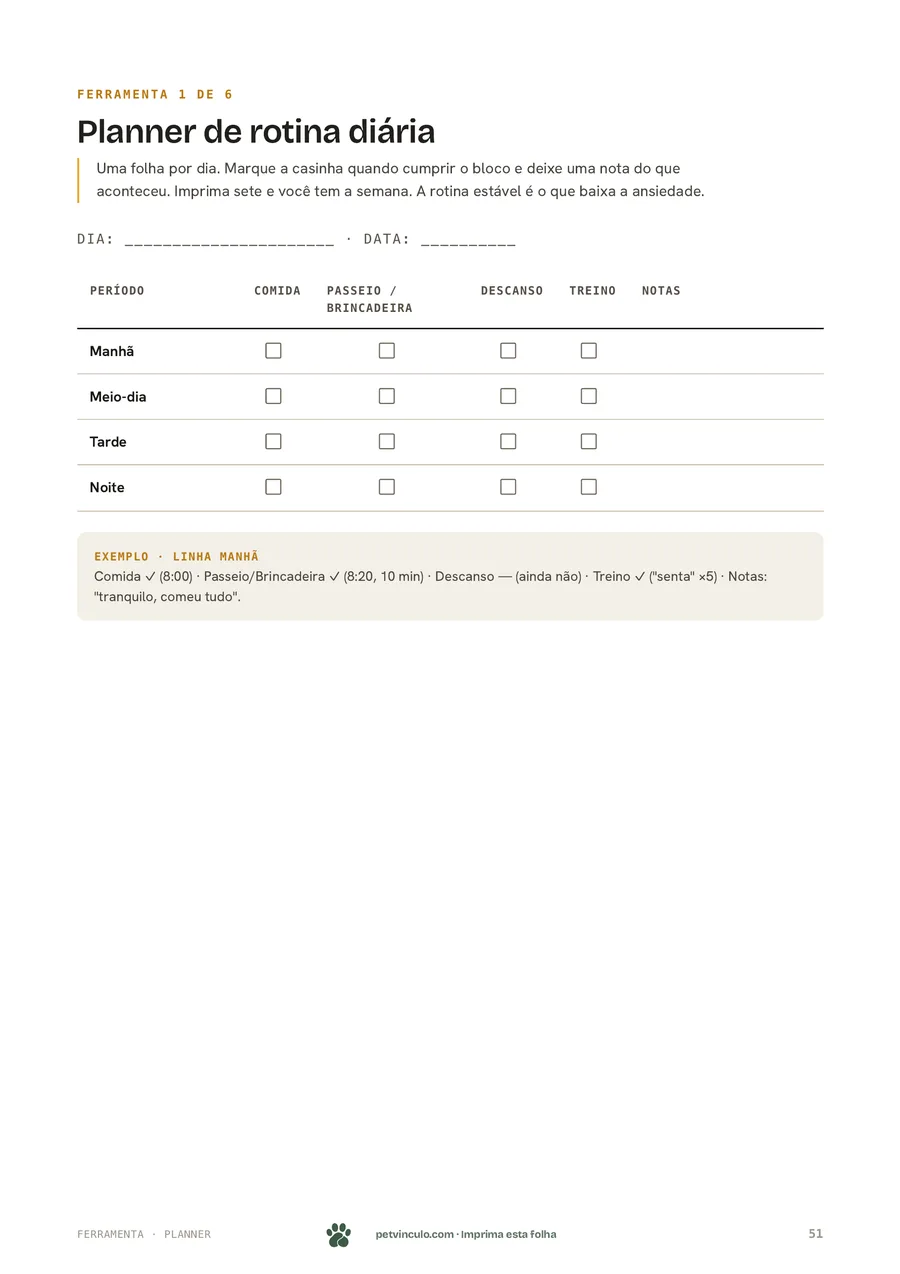 Planner de rotina diária para imprimir, incluído no plano.