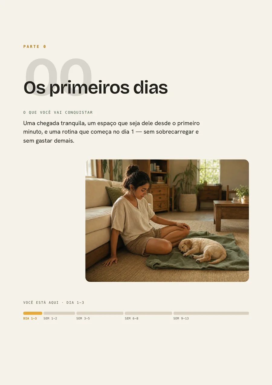 Página real de abertura de Os primeiros dias.